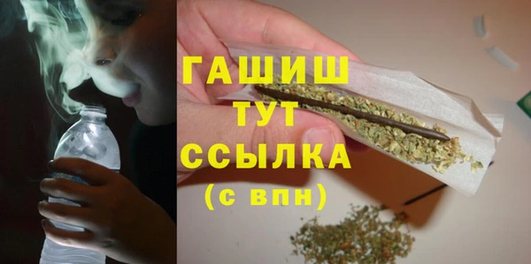 гидра Белокуриха