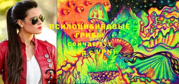гидра Белокуриха