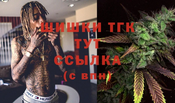 гидра Белокуриха