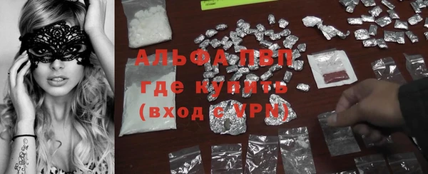 гидра Белокуриха
