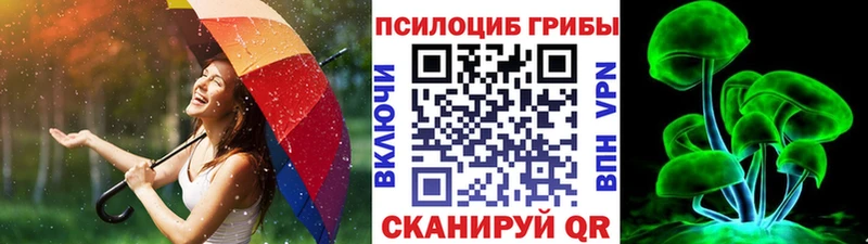 Галлюциногенные грибы Cubensis  где можно купить   Новокузнецк 